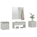 Set de mobilier pentru hol, gri beton, lemn prelucrat - WALTI WALTI