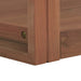 Dulap de baie suspendat, 45x45x30 cm, lemn masiv de tec - WALTI WALTI