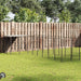 Padoc pentru câini, negru, 6,05 m², oțel - WALTI WALTI