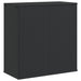 Ladă de perne pentru grădină, negru, 100x49x103,5 cm, ratan PE - WALTI WALTI