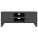 Dulap TV industrial, antracit, 105x35x42 cm, metal - WALTI WALTI