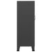 Dulap industrial de depozitare, antracit, 70x40x115 cm, metal - WALTI WALTI