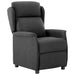 Fotoliu recliner Gri închis 67.5 x 93.5 x 101.5 cm țesătură - WALTI WALTI