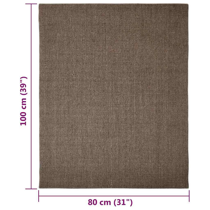 Covor din sisal natural, maro, 80x100 cm WALTI
