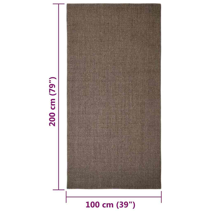 Covor din sisal natural, maro, 100x200 cm WALTI