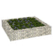 Strat înălțat de gabion, 100x100x20 cm, oțel galvanizat - WALTI WALTI