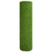 Gazon artificial, verde, 1x5 m/30 mm - WALTI WALTI