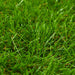 Gazon artificial, verde, 1x10 m/40 mm - WALTI WALTI