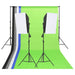 Kit de iluminat pentru studio cu fundaluri și softbox-uri - WALTI WALTI