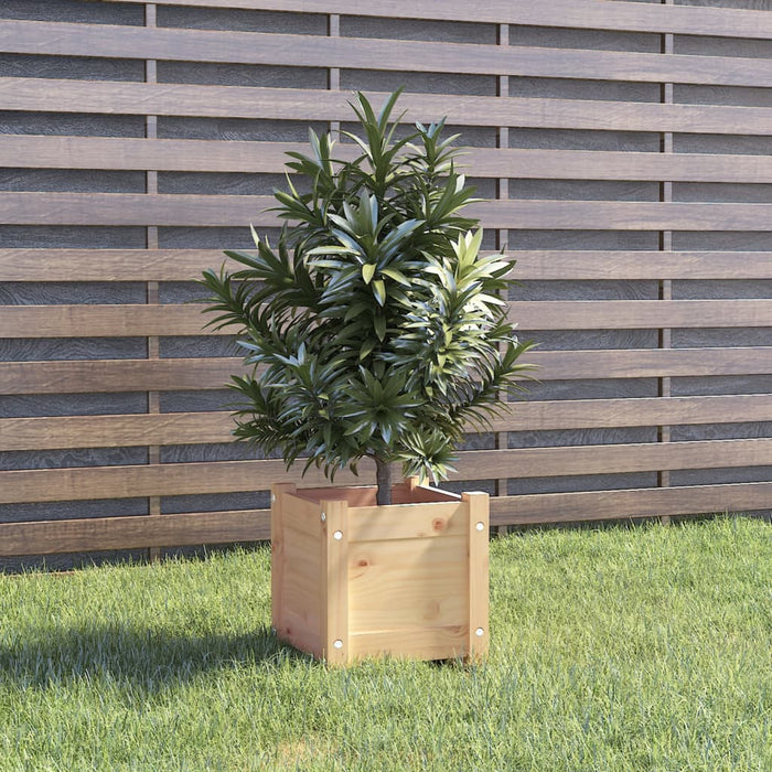 Jardiniere de grădină, 2 buc., 31x31x31 cm, lemn masiv de pin WALTI