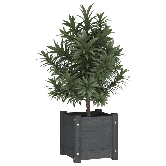 Jardiniere de grădină, 2 buc., gri, 31x31x31 cm, lemn masiv pin - WALTI WALTI
