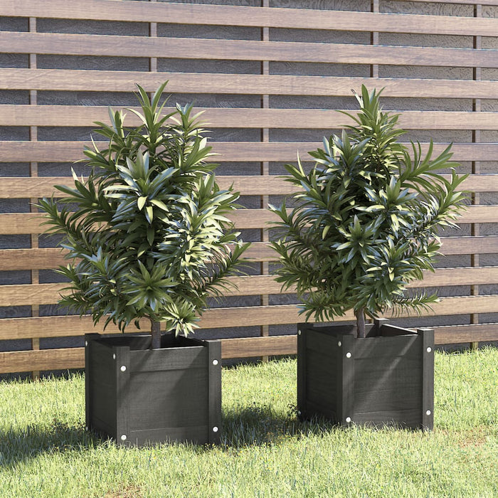 Jardiniere de grădină, 2 buc., gri, 31x31x31 cm, lemn masiv pin - WALTI WALTI