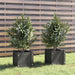 Jardiniere de grădină, 2 buc., gri, 31x31x31 cm, lemn masiv pin - WALTI WALTI