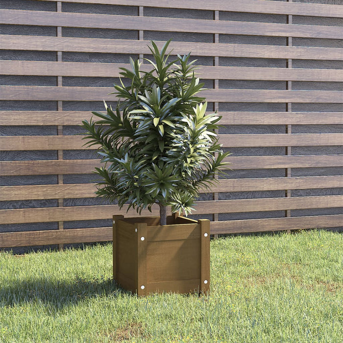 Jardinieră de grădină, maro miere, 31x31x31 cm, lemn pin - WALTI WALTI
