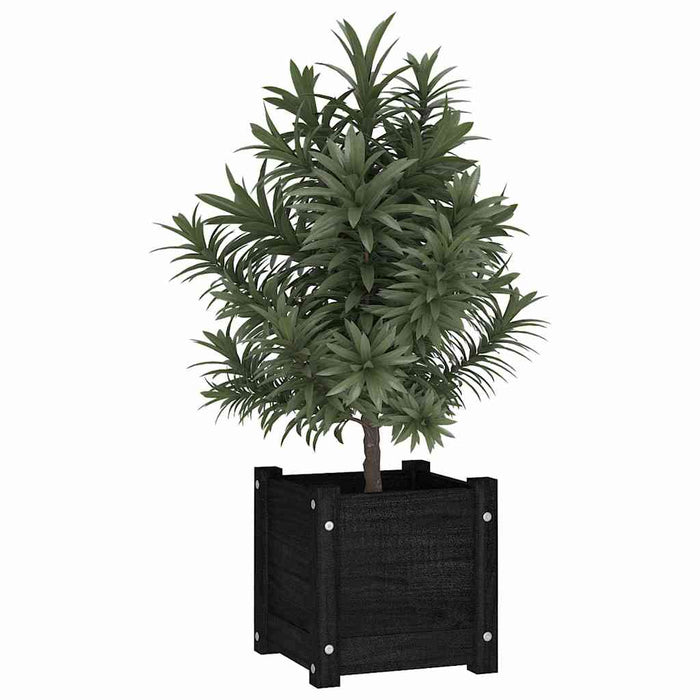 Jardinieră de grădină, negru, 31x31x31 cm, lemn masiv de pin WALTI