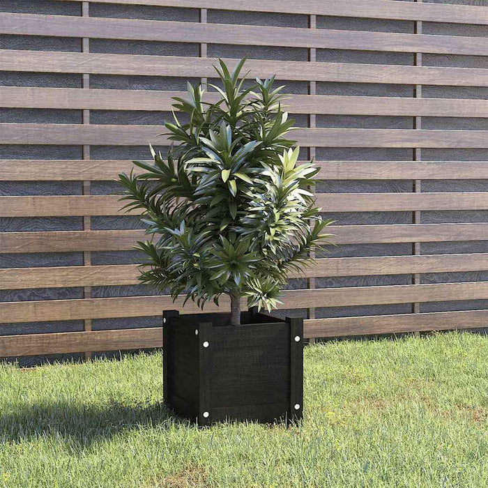 Jardinieră de grădină, negru, 31x31x31 cm, lemn masiv de pin WALTI