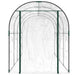 Seră transparentă 160x400x190 cm PVC/oțel vopsit electrostatic - WALTI WALTI