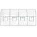 Seră transparentă 160x400x190 cm PVC/oțel vopsit electrostatic - WALTI WALTI