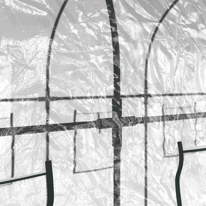Seră transparentă 160x400x190 cm PVC/oțel vopsit electrostatic - WALTI WALTI