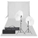 Kit studio foto cu set de lumină și fundal - WALTI WALTI