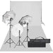 Kit studio foto cu set de lumină și fundal - WALTI WALTI