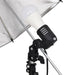 Kit studio foto cu set de lumini, fundal și reflector - WALTI WALTI
