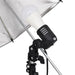 Kit studio foto cu set de lumini, fundal și reflector - WALTI WALTI