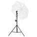 Kit studio foto cu set de lumini, fundal și reflector - WALTI WALTI