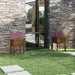 Jardiniere grădină 2 buc. maro miere 50x50x70 cm lemn masiv pin - WALTI WALTI