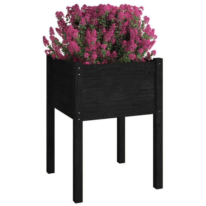 Jardiniere de grădină, 2 buc., negru, 50x50x70cm lemn masiv pin - WALTI WALTI