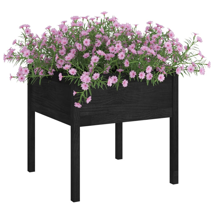 Jardiniere grădină, 2 buc., negru, 70x70x70 cm, lemn masiv pin - WALTI WALTI