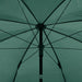 Umbrelă pentru pescuit, verde, 220x193 cm - WALTI WALTI