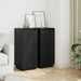 Servante, 2 buc., negru, 31,5x34x75 cm, lemn masiv de pin - WALTI WALTI