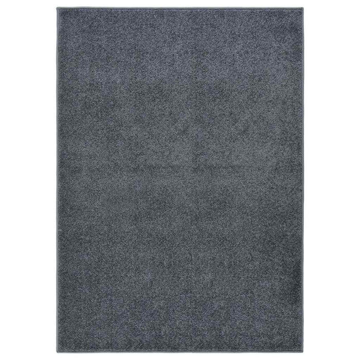 Covor cu fire scurte, antracit, 140x200 cm WALTI