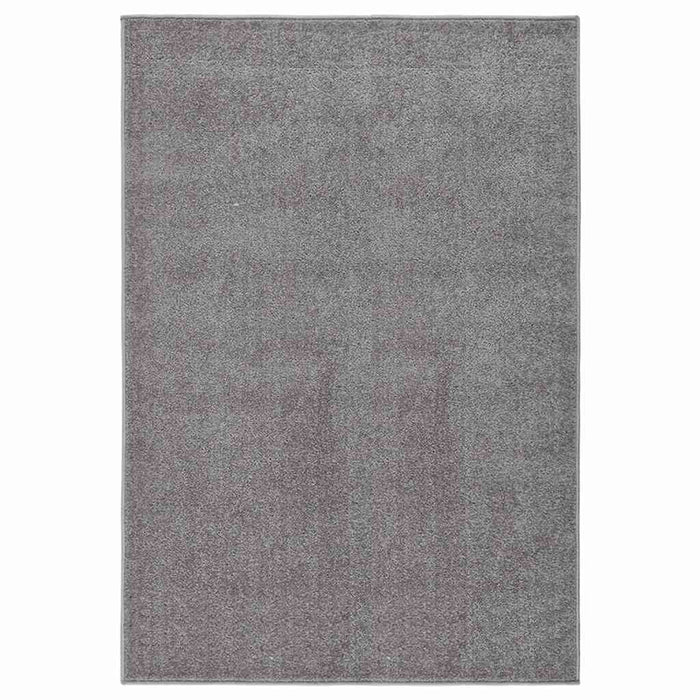 Covor cu fire scurte, gri, 200x290 cm WALTI