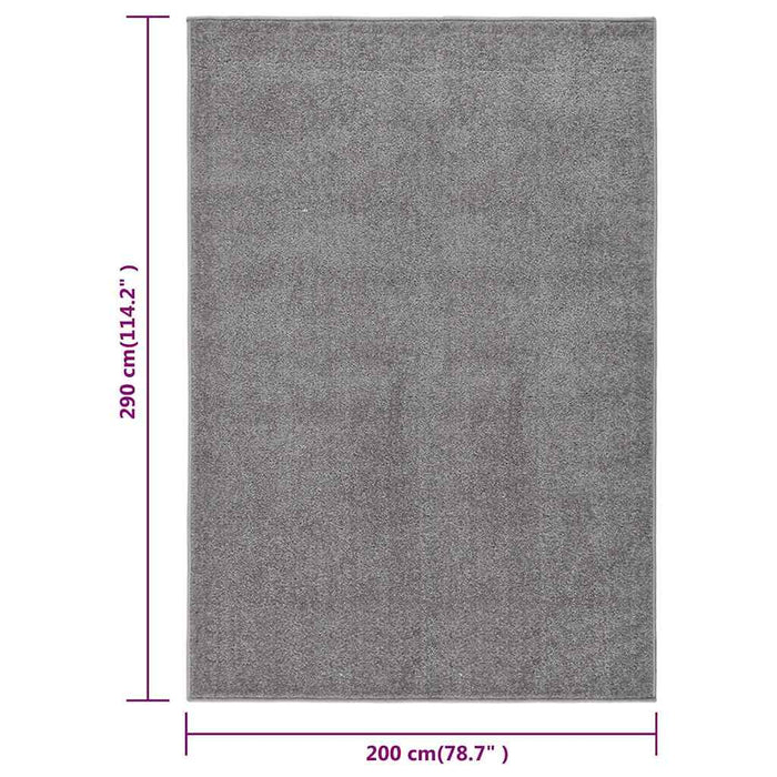 Covor cu fire scurte, gri, 200x290 cm WALTI