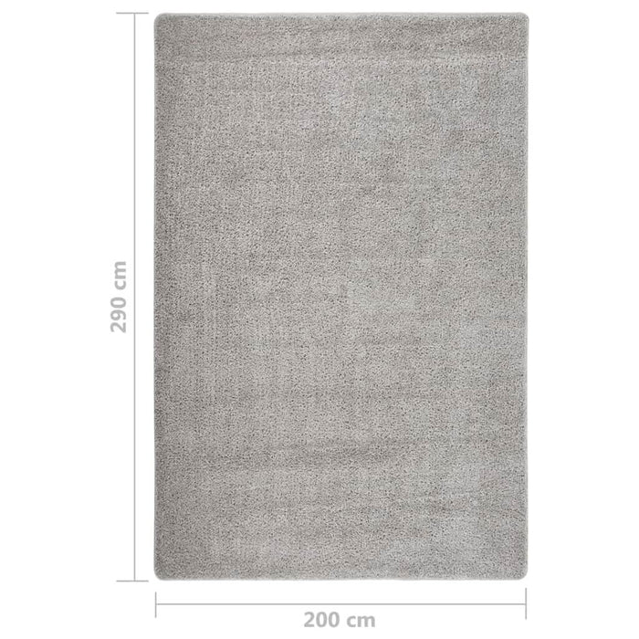 Covor pufos, gri deschis, 200x290 cm, antiderapant - WALTI WALTI