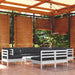 Set mobilier grădină cu perne, 10 piese, alb, lemn masiv pin - WALTI WALTI