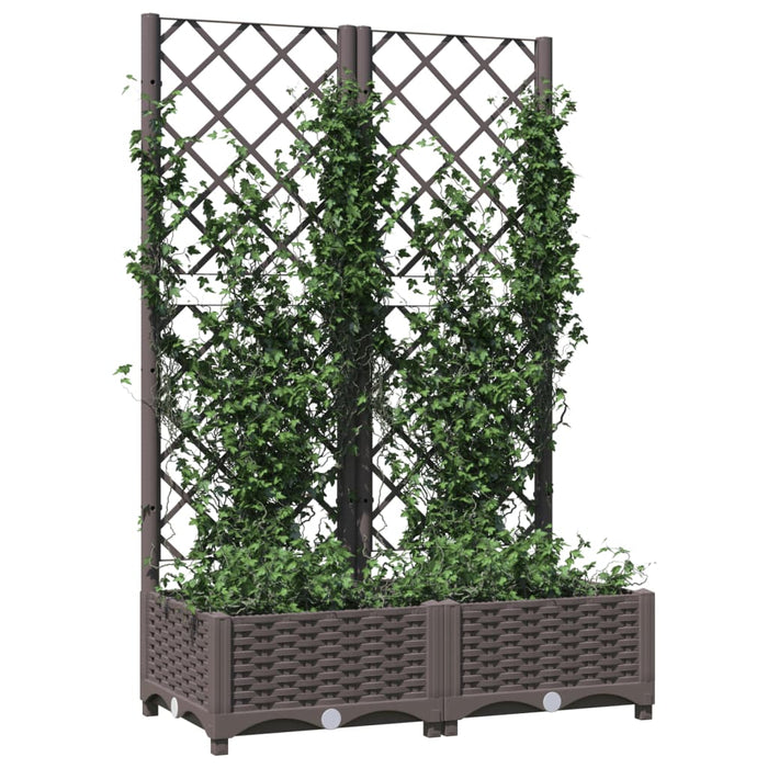 Jardinieră de grădină cu spalier maro, 80x40x121,5 cm, PP WALTI