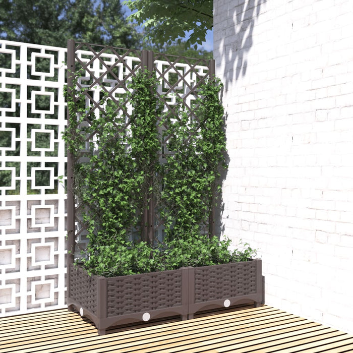 Jardinieră de grădină cu spalier maro, 80x40x121,5 cm, PP WALTI