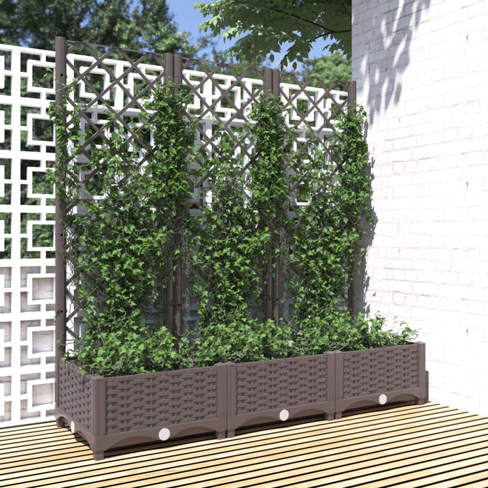 Jardinieră de grădină cu spalier, maro, 120x40x121,5 cm, PP - WALTI WALTI