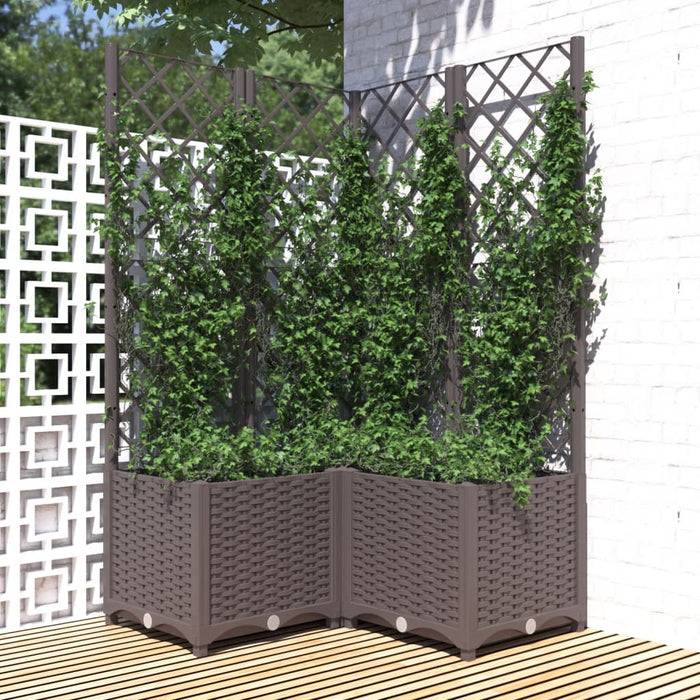 Jardinieră de grădină cu spalier maro, 80x80x136 cm, PP - WALTI WALTI