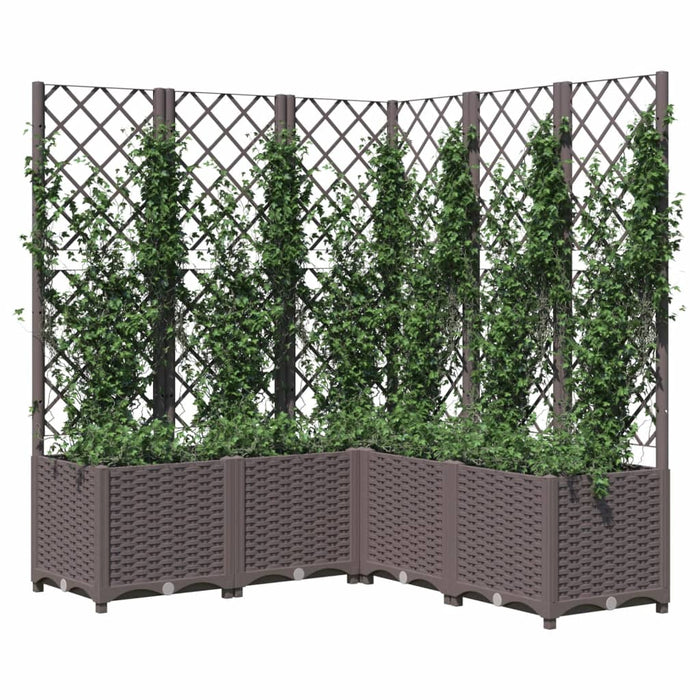 Jardinieră de grădină cu spalier, maro, 120x120x136 cm, PP WALTI