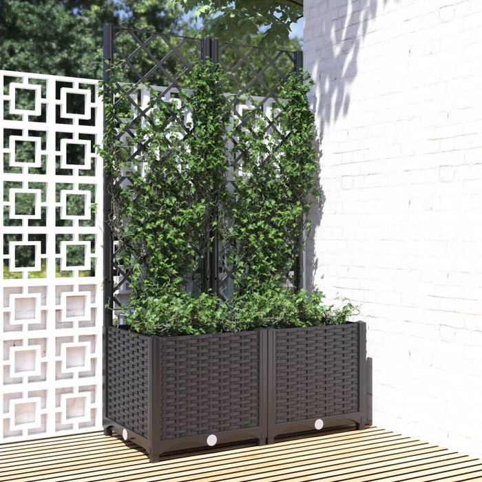Jardinieră de grădină cu spalier, neagră, 80x40x136 cm, PP WALTI
