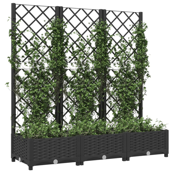 Jardinieră de grădină cu spalier, neagră, 120x40x121,5 cm, PP WALTI