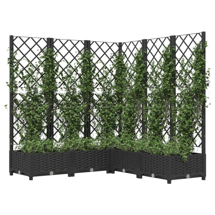 Jardinieră de grădină cu spalier, negru, 120x120x121,5 cm, PP WALTI