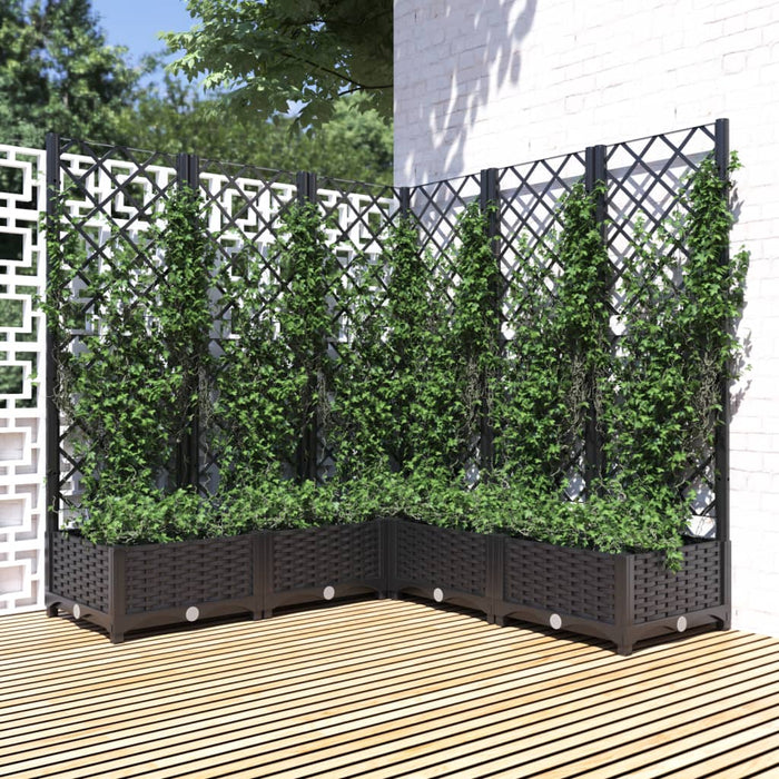 Jardinieră de grădină cu spalier, negru, 120x120x121,5 cm, PP WALTI