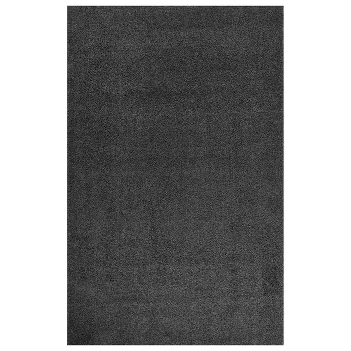 Covor Shaggy, fir lung, antracit, 200x290 cm WALTI