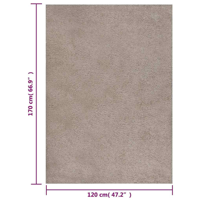 Covor Shaggy, fir lung, bej, 120x170 cm WALTI