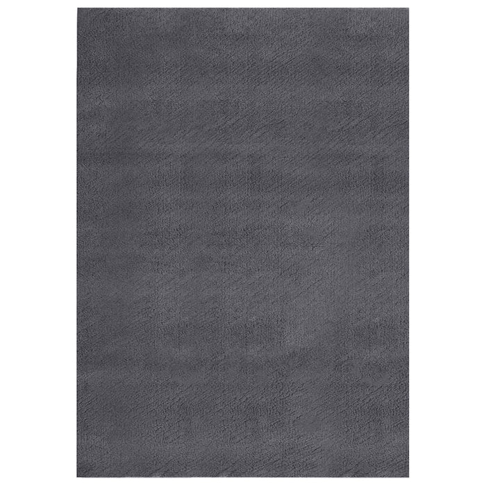 Covor lavabil moale și pufos 160x230 cm anti-alunecare antracit - WALTI WALTI